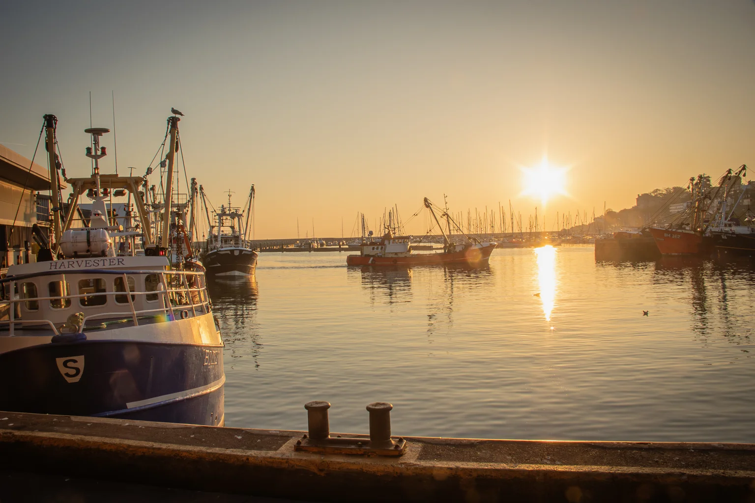 How FRDC Supports Australia’s Seafood Consumers – and Where SCA Can Help Bridge the Gap